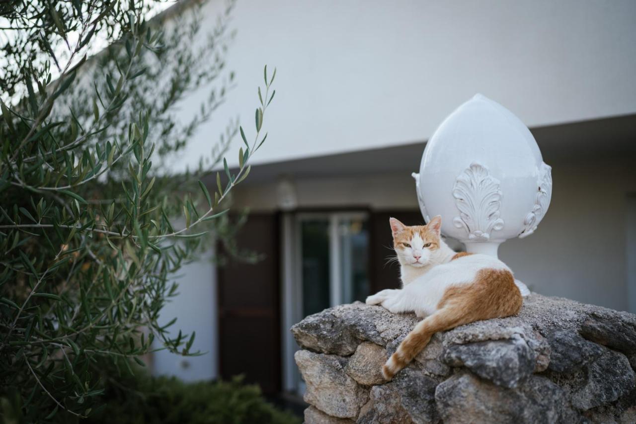 Prestigiosa Villa Con Piscina Condominiale Monopoli Bagian luar foto